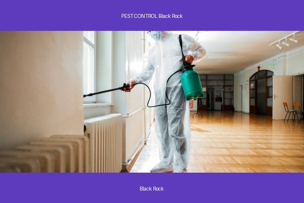 PEST CONTROL Black Rock
